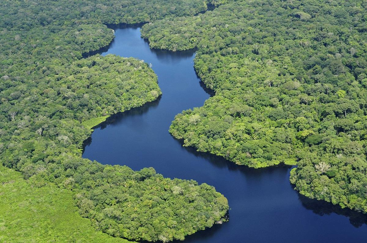 Wikimedia Commons premia melhores fotos tiradas em reservas naturais brasileiras